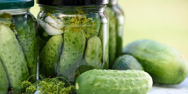 Jars of cucumbers fermenting with dill and garlic